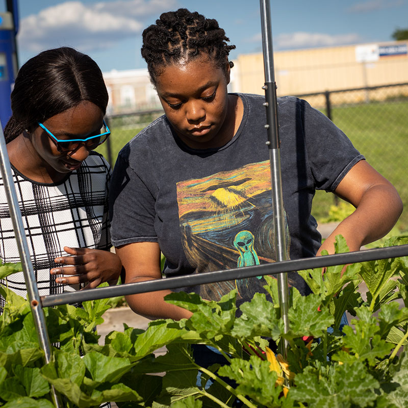 science students working in the garden