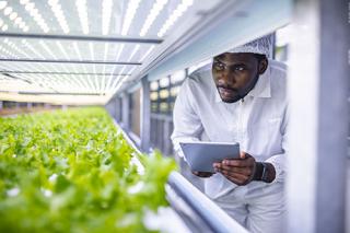 Biology and Life Sciences student observing the development of plant crops