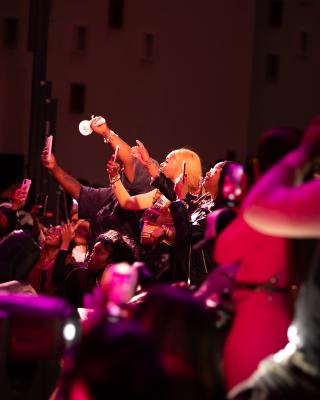 Students cheering at the 2025 Homecoming concert.